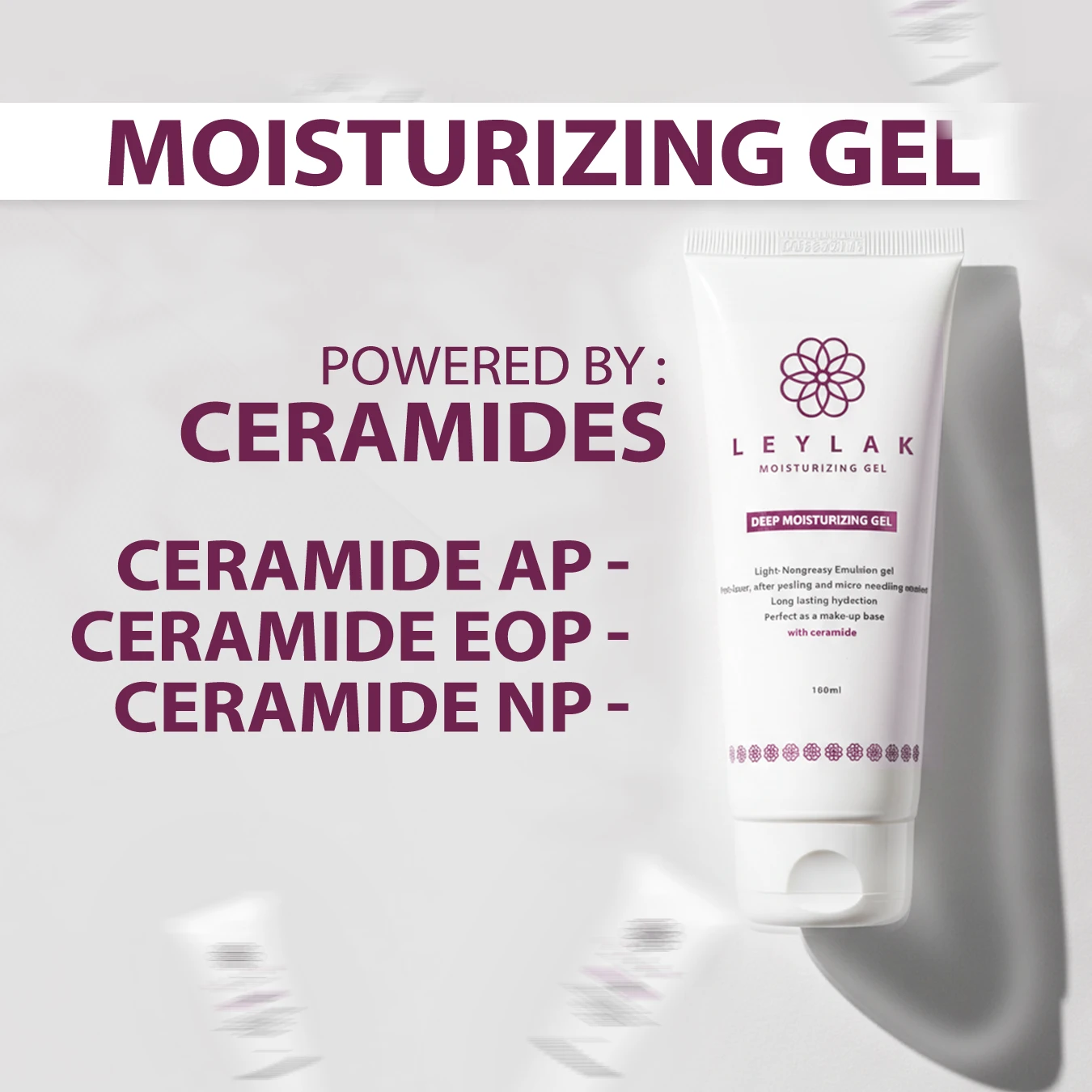 Second Image Description